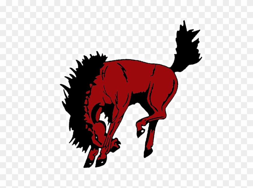 This Is The Image For The News Article Titled Get Your - Sonora Broncos Clipart #1593262