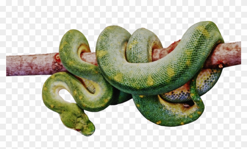 Serpent - Transparent Blue Snake Png Clipart #1593565