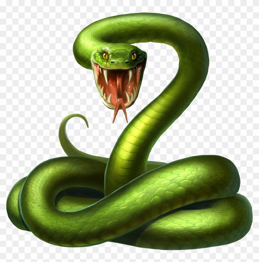 Snake Android Illustration Green - Snake Png Art Green Clipart #1593990