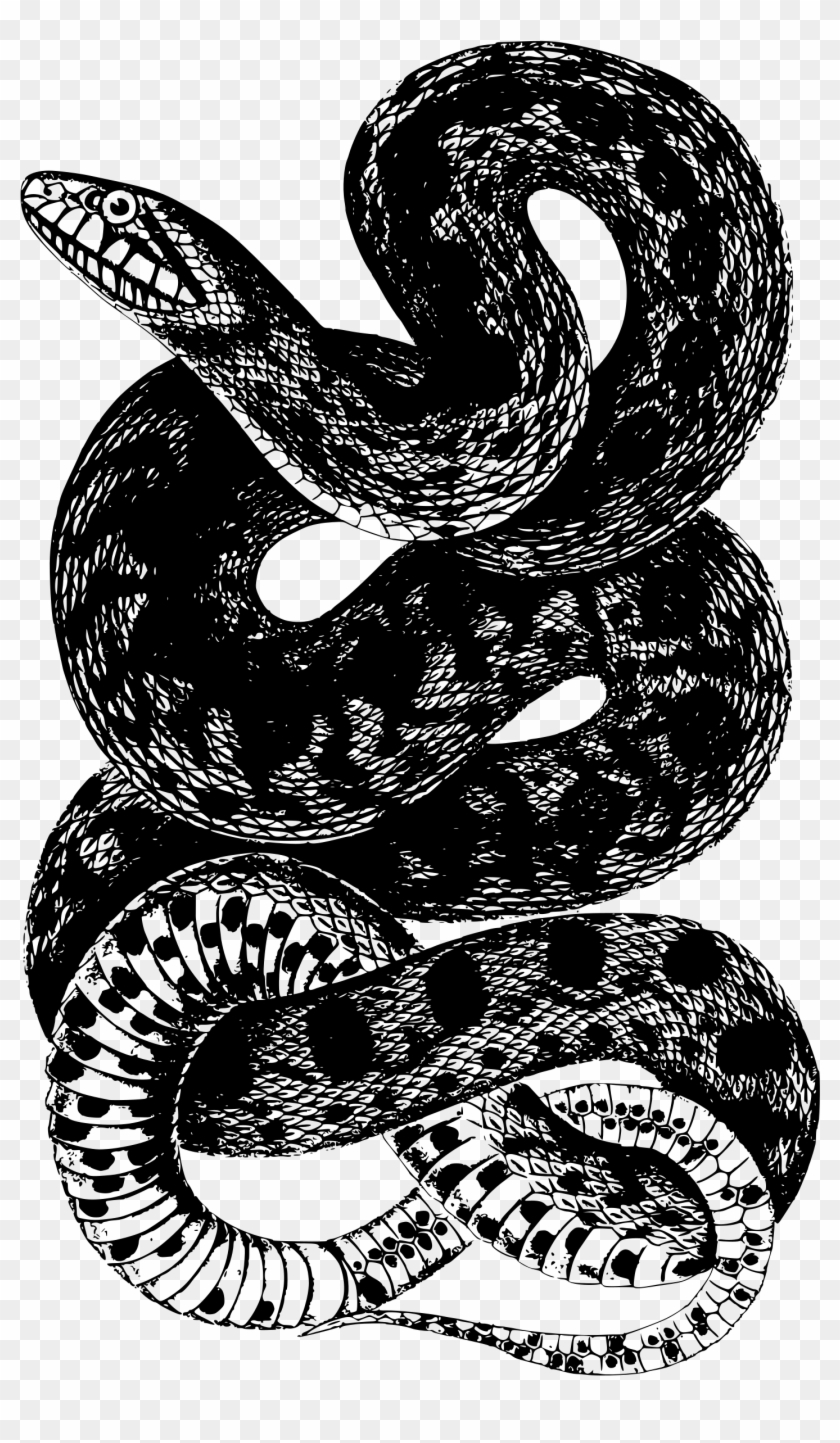 This Free Icons Png Design Of Snake 10 Clipart #1594604