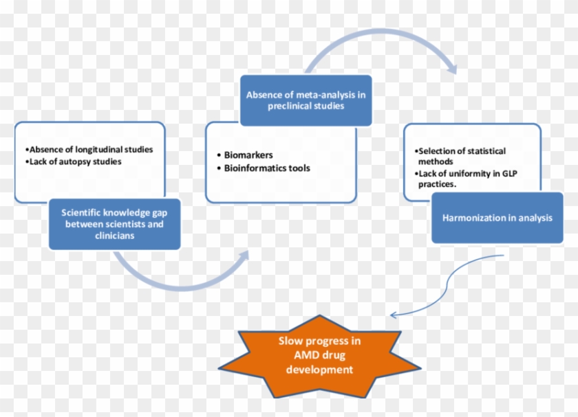 Schematic Representation Of Roadblocks In Amd Translation - Orange Clipart