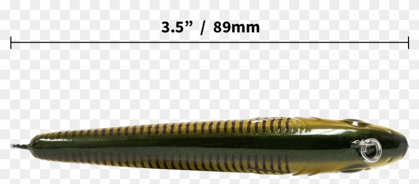 Salt Series - Millipedes Clipart #1597061