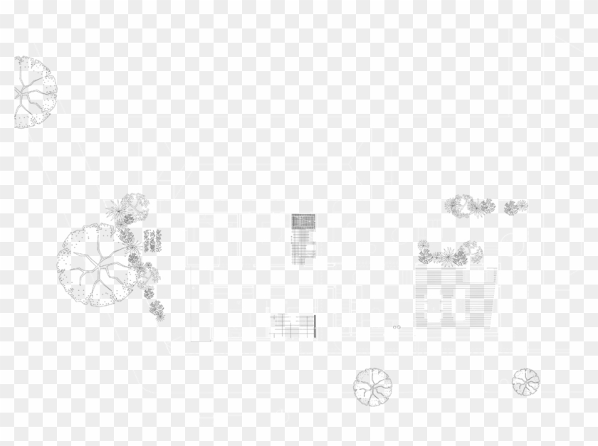 March Studio The Mullet Plan First - Drawing Clipart