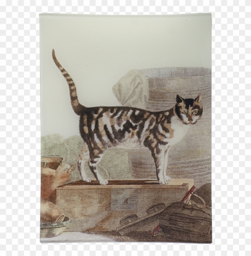 Tabby Cat Clipart #1598376