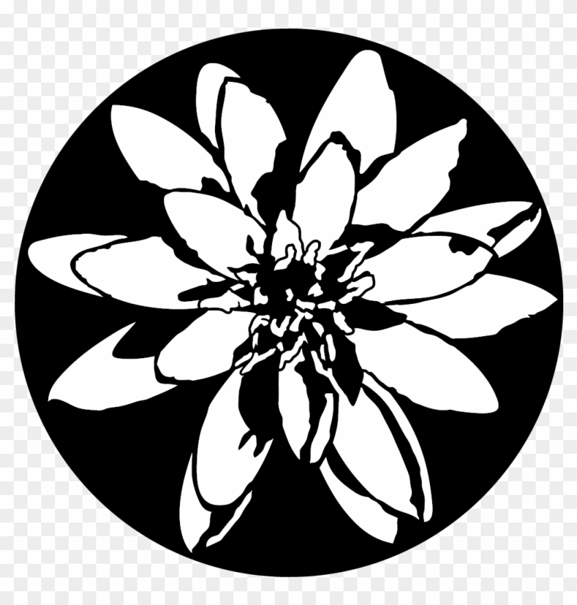 Apollo Design 1166 Water Lily Steel Pattern - Illustration Clipart #1598961