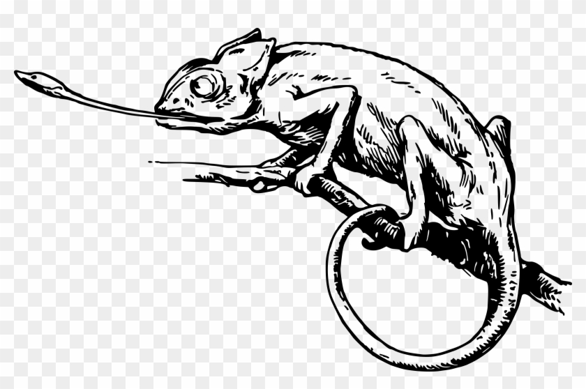 Download Png - Clipart Of Chameleon Black And White Transparent Png