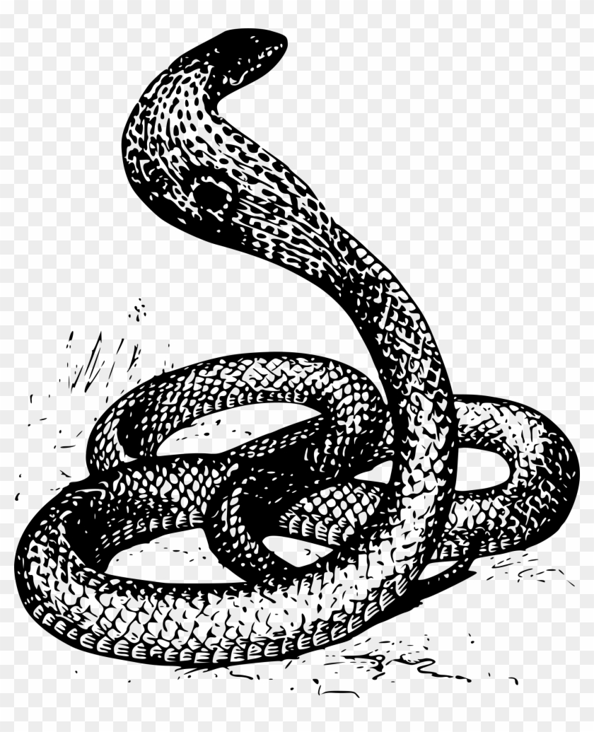 Clipart Cobra Big Image Png - Royalty Free Snake Transparent Png #161078