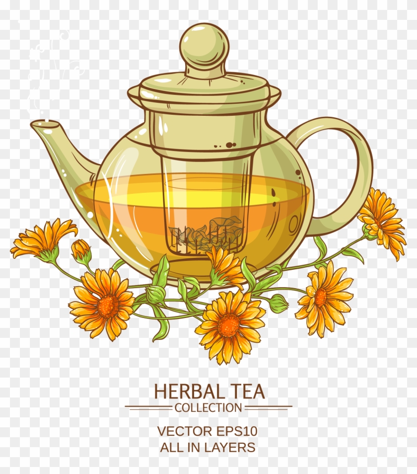 Chrysanthemum Tea Flowering Tea Calendula Officinalis - Illustration Clipart