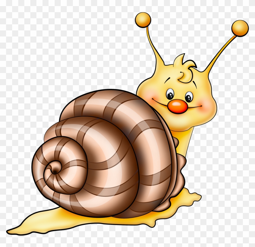 Brown Snail Cartoon Png Picture - Cartoon Cliparts Png Transparent Png #161228