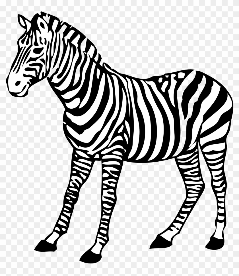 Zebra Png Image - Coloring Images Of Zebra Clipart #161275