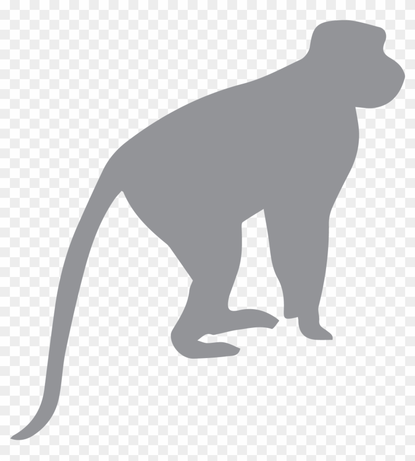 Experience Primate Conservation - Monkey Silhouette Clipart #161326