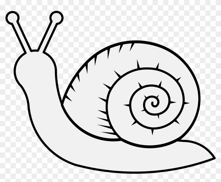 Details, Png - Traceable Snail Clipart