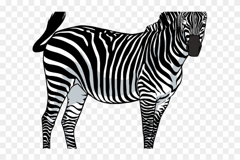 Zebra Png Transparent Images - Zebra With Transparent Background Clipart #162223