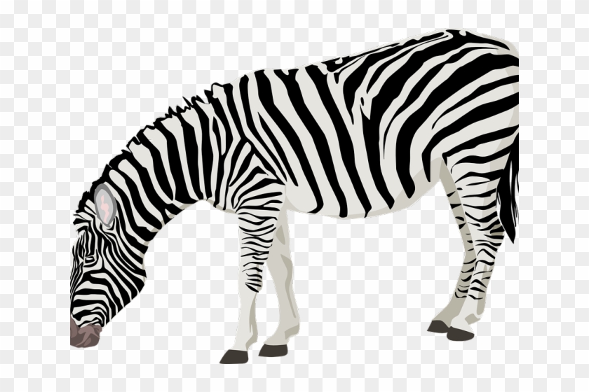 Zebra Png Transparent Images - Zebra Clipart No Background #162410