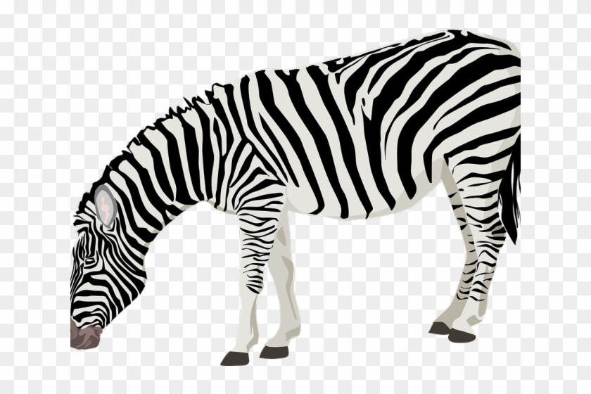 Zebra Png Transparent Images - Zebra Clipart No Background