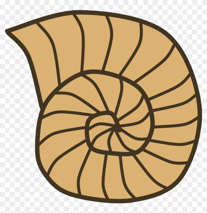 Big Image - Shell Fossil Clipart - Png Download #162574