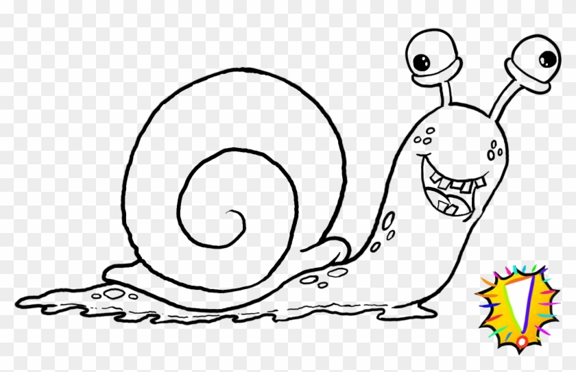 Snail Clipart