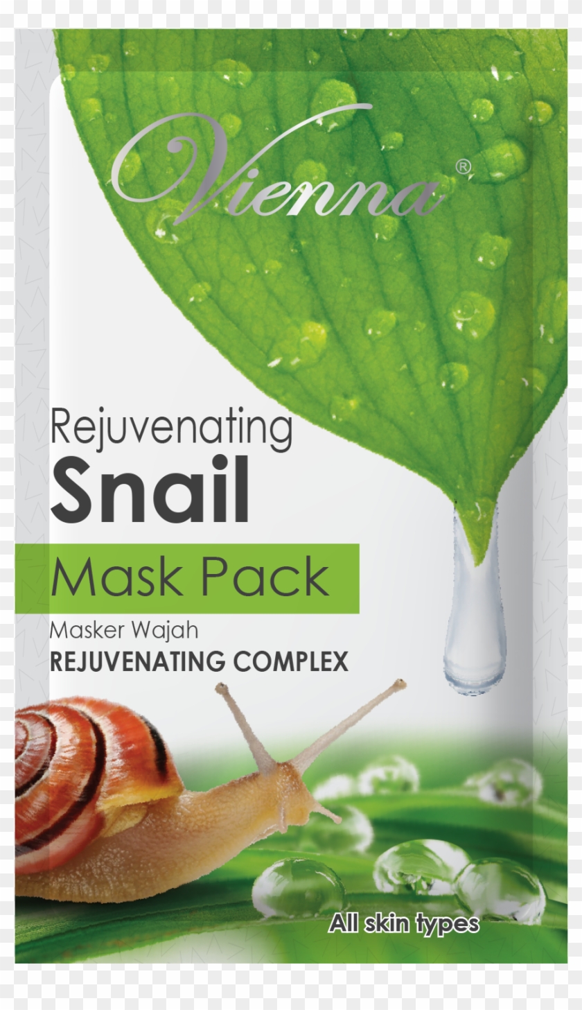 Vienna Rejuvenating Snail Mask Pack - Sea Snail Clipart