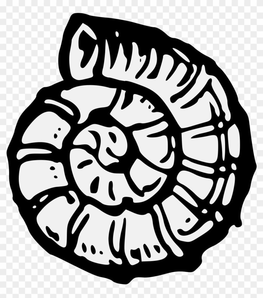Details, Png - St Hildas Snake Stones Clipart #162889