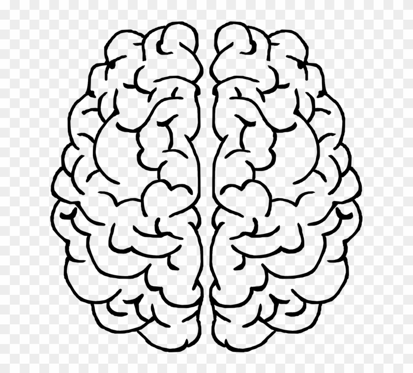 Download Brain, Mind, Gray Matter, Thought, Head, Ideas - Transparent ...