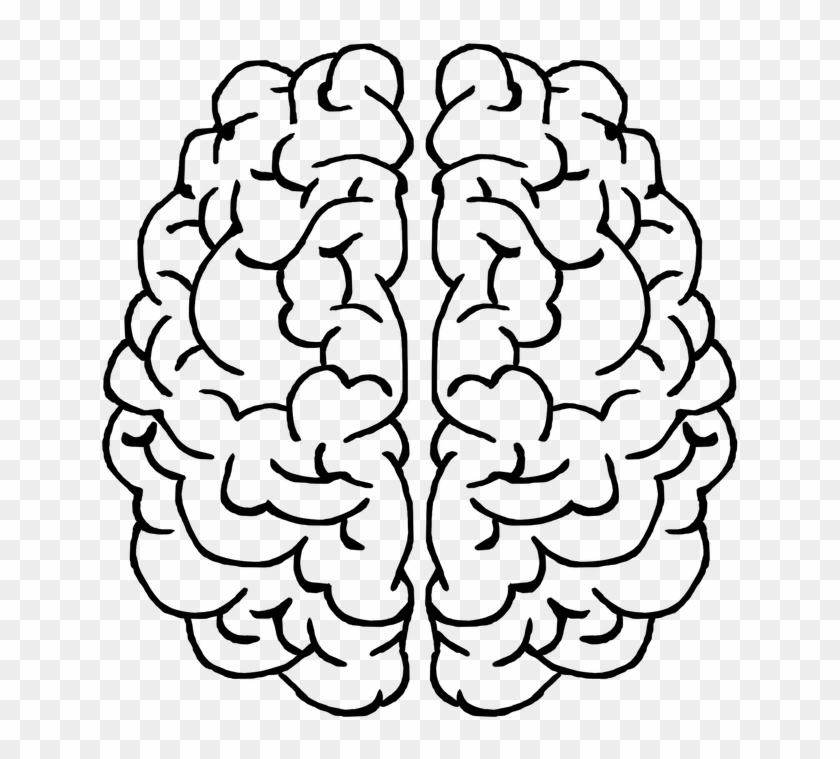 Brain Mind Gray Matter Thought Head Ideas Transparent Background Brain Clip Art Png Download 1631 Pikpng Brain Mind Gray Matter Thought Head Ideas Transparent Background Brain Clip Art Png Download 1631 Pikpng