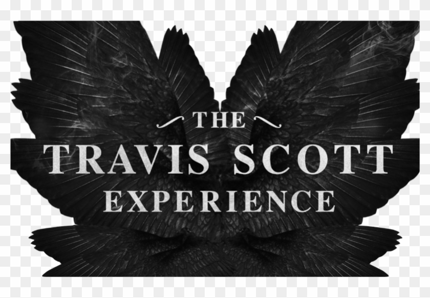 Graphic Design Clipart #164948