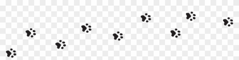 Plus Free Shipping For Orders Of 5 Or More - Dog Paws Path Png Clipart