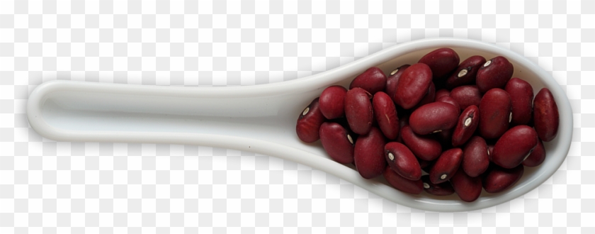 Beans Png Transparent Images Pluspng Red - Azuki Bean Png Clipart #165894