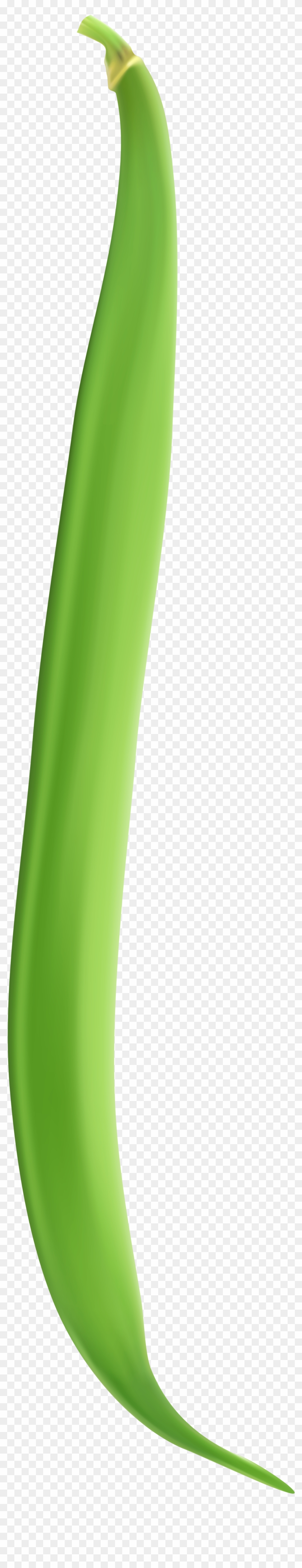 Green Bean Png Clipart #166071