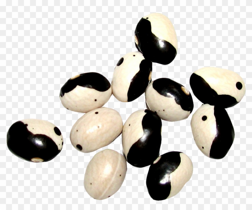 Bead Clipart #166666