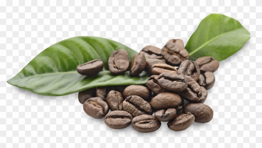 Arabica Coffee Beans Png , Png Download Clipart #166687