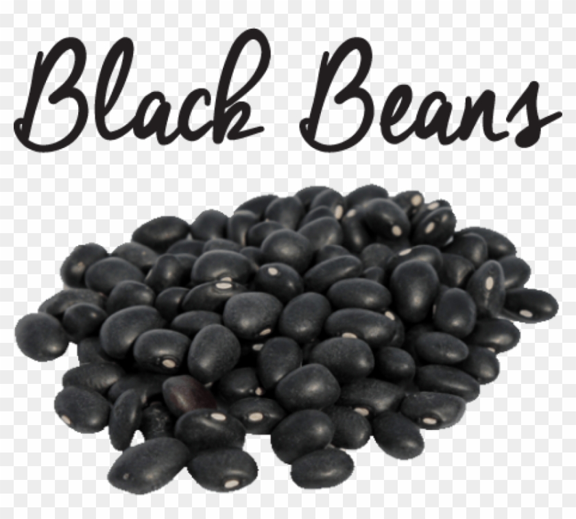 Free Png Download Black Beans Png Images Background - Velvet Bean In Urdu Clipart