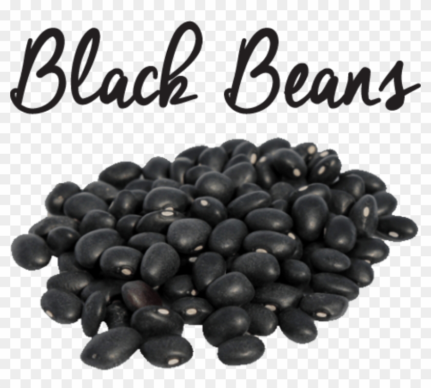 Free Png Download Black Beans Png Images Background - Velvet Bean In Urdu Clipart #166713