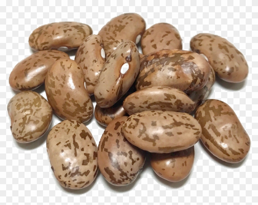 Shady Side Farm Clipart