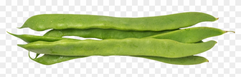 Bean Pods - Chili Pepper Clipart