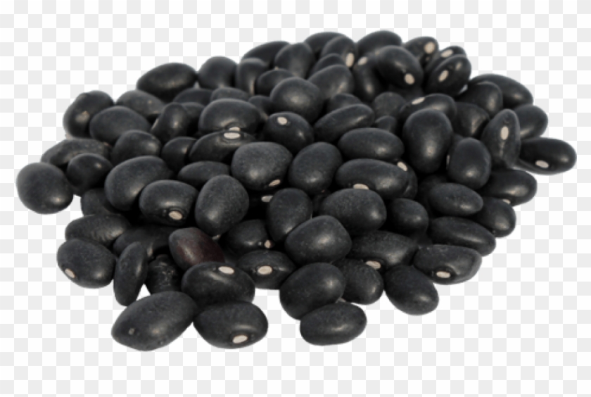 Free Png Download Black Beans Png Images Background - Velvet Bean In Urdu Clipart #167354