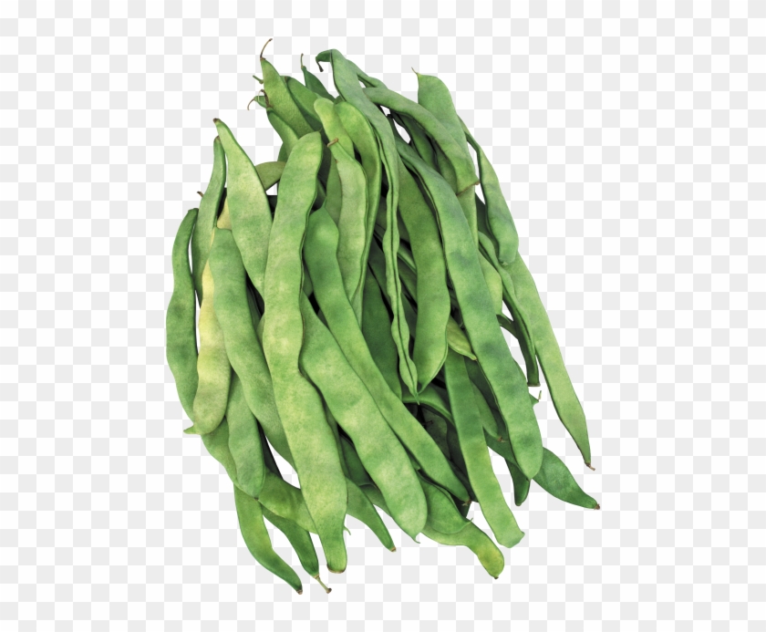 Green Beans - Ayşekadın Fasulye Clipart #167438