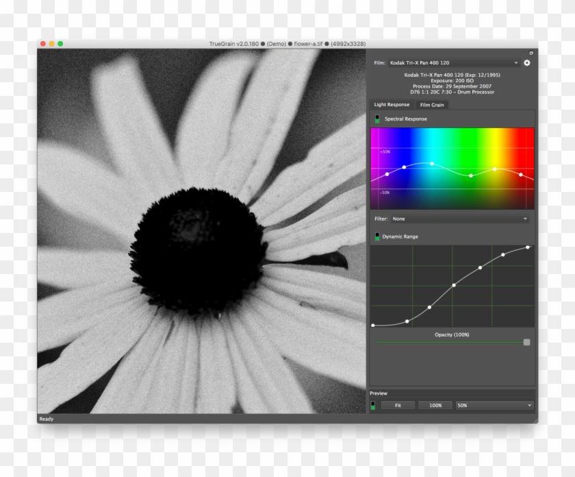 Screen2 - African Daisy Clipart