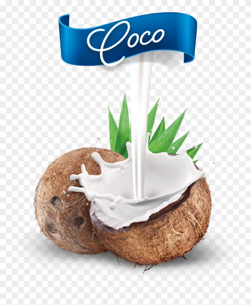 Nuevo Coco Mestre - Coconut Clipart #168700