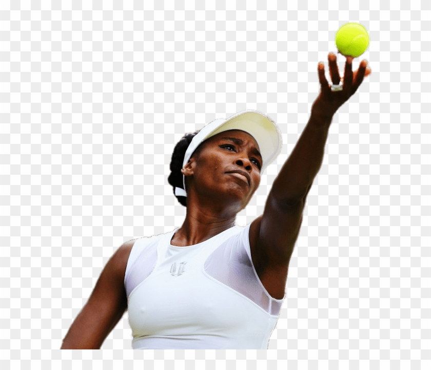 Download - Venus Williams Png Clipart