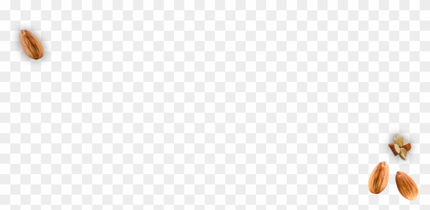 Lindsay & Almond Butter A Perfect Marriage - Sunflower Seed Clipart #1600554