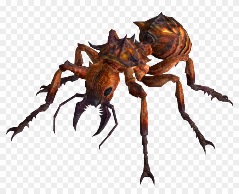 Fire Ants , Png Download Clipart