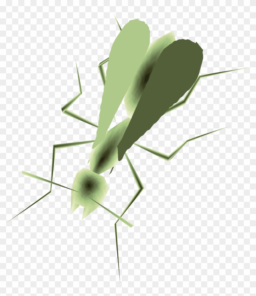 Mantidae Clipart