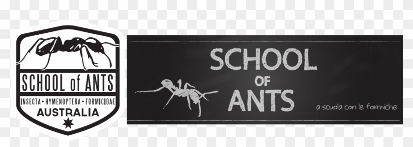 Soa International - Coolix Clipart #1604297