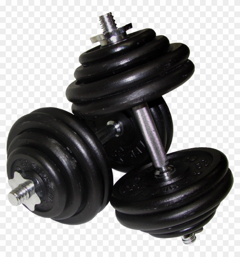 Hantels Png - Dumbbells Png Clipart