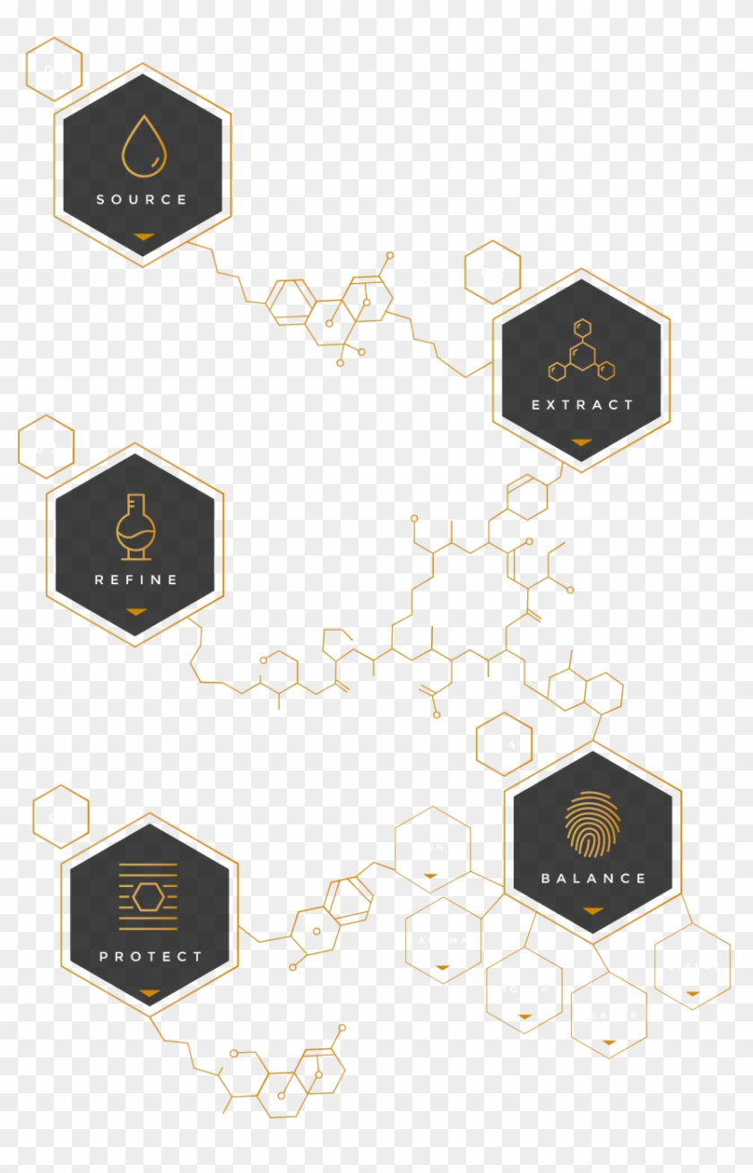 Goldmoon Home Infographic - Harmonic Table Clipart