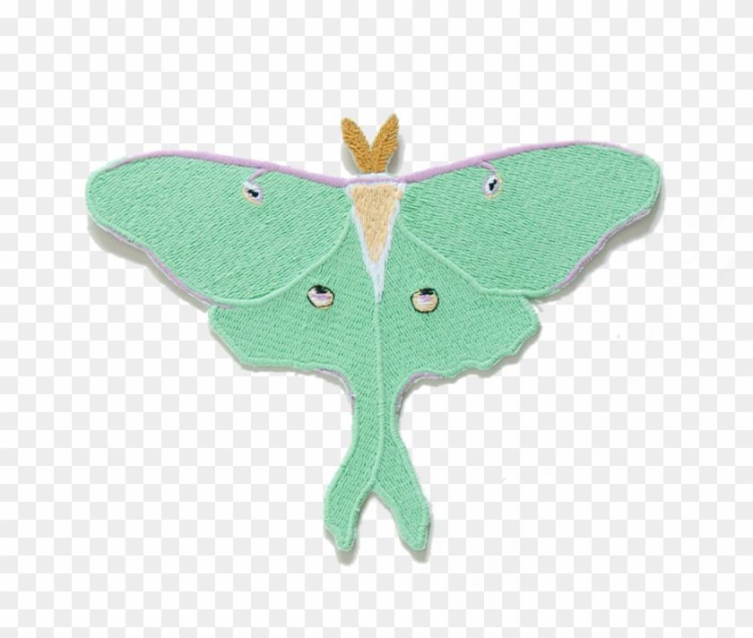 Swallowtail Butterfly Clipart