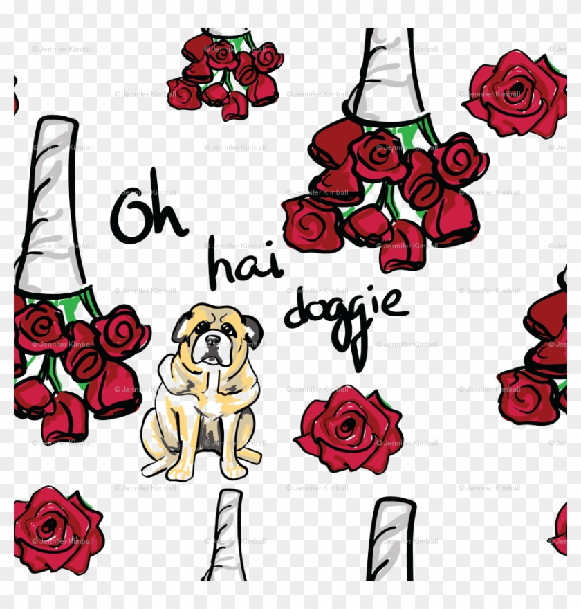 Oh Hai Doggie, The Room Movie, Tommy Wiseau Wallpaper - Garden Roses Clipart