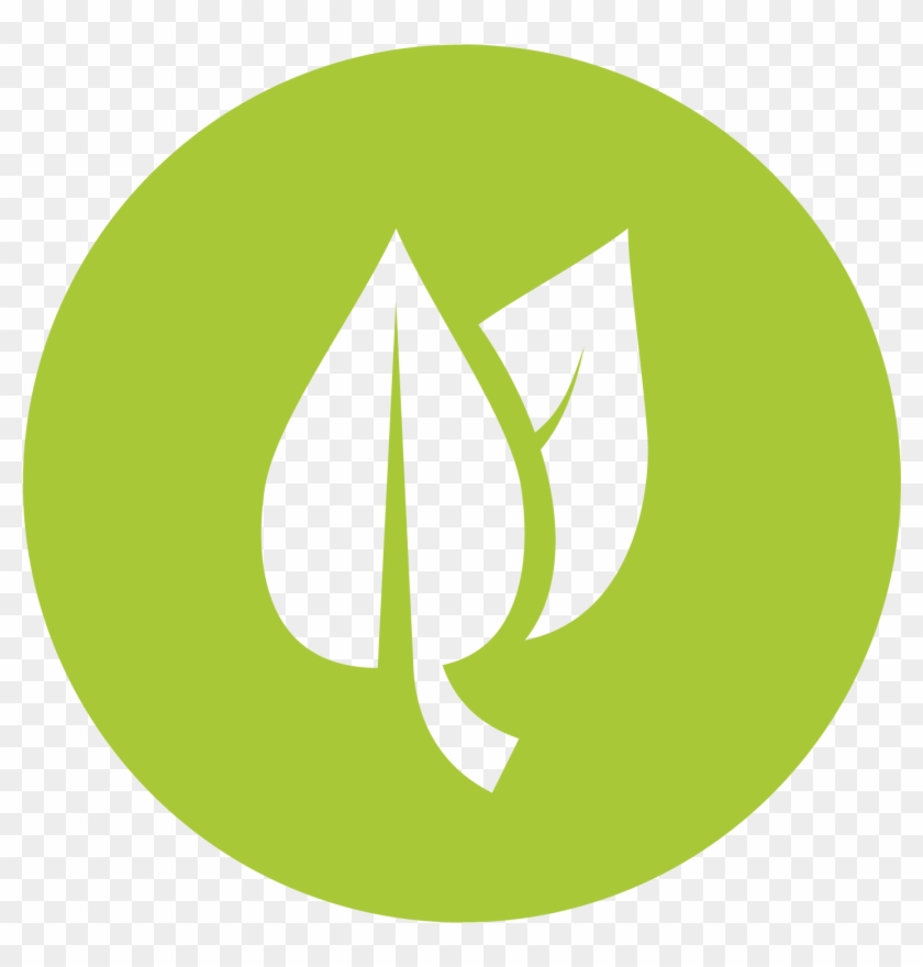 Realistic Frog - Leaf Flat Icon Png Clipart #1615234