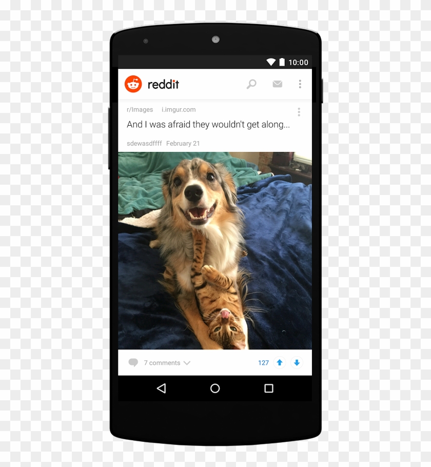 Reddit For Android Picture View - Ios Reddit App Clipart #1615469